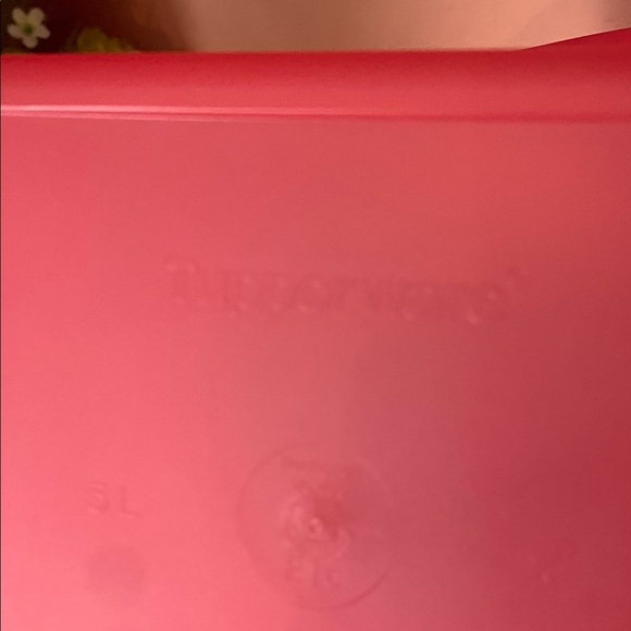 Vibrant Pink Plastic Bucket with Handle - Picture 6 of 7